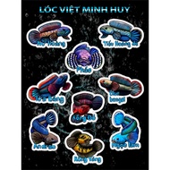 Snakehead fish Sticker - Snakehead fish Sticker for fish tank decoration