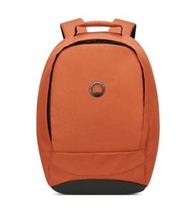Delsey Paris Securban Ultra Secured Laptop Backpack 22L 電腦背囊 背包