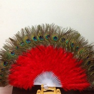 Peacock feather fan, peacock fan, peacock feather fan for belly dance, 28-piece peacock fan