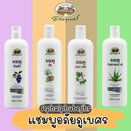 🔥ของแท้🔥 แชมพูอภัยภูเบศร อภัยภูเบศร Abhaibhubejhr Shampoo 300 ml แชมพูอัญชัน / แชมพูขิง / แชมพูบอระเพ็ด / แชมพูว่านหางจระเข้