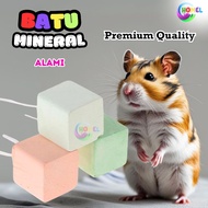 Hamster Bite Mineral Stone, the Right Solution for Dental Health, Calcium Gnawing Stone CHOMEL