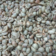 biji kopi mentah 1 kg.Robusta Lampung Ek