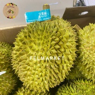 Durian Montong Thailand Fresh Utuh / Durian Import Thailand / Pcs