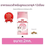 Royal Canin | อาหารแมวหนุ่ม 2 กก