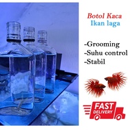 Betta Fish Bottle Grooming used Botol kaca Ikan Laga [Ready Stock]