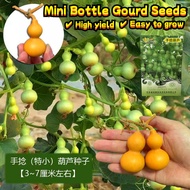 2Seeds/pack High Yield Mini Bottle Gourd Seeds Ornamental Climbing Mini Bottle Gourd Plant Seed Chin