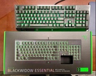 二手 Razer BlackWidow Essential 雷蛇黑寡婦蜘蛛標準版 鍵盤