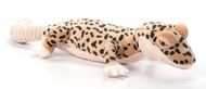 The Petting Zoo Leopard Gecko Stuffed Animal, Gifts for Kids, Wild Onez Zoo Animals, Leopard Gecko P