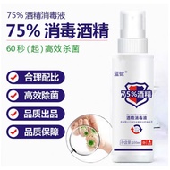 HOMEY [M'sia] Hand sanitizer spray 100ml 75% alcohol