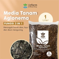 INFARM - Media Tanam Aglonema 1L Media Tanam Premium Fermentasi