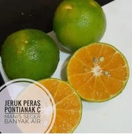 Jeruk peras siam Pontianak  manis 1kg
