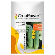 Benih Timum CROP POWER DC777 F1 100g