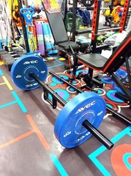 New健力舉重奧運彈力片啞鈴片20公斤一對40kg