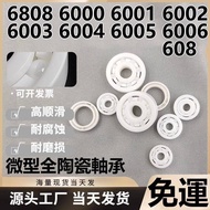 Zirconia All-Ceramic Bearing 608 6000 6001 6002 6003 6004 6005 6006 6007