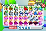  Pet Simulator X