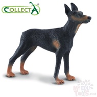 Doberman Pinscher - Collecta 88086 Dog Pet Action Figures / Toy Figurine Collection