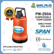 WALRUS PW250A Auto Submersible Pump Circulation effect of water pool in park & Fishpond