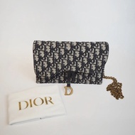 DIOR woc 老花鍊條包