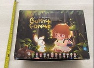 Pop Mart Bunny Forest