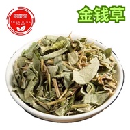 金钱草 Lysimachia christinae Hance