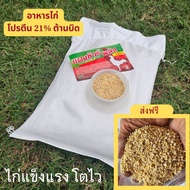 อาหารไก่โปรตีน 21% ต้านbid หัวอาหารไก่ บิด บิด 4 กิโลกรัม