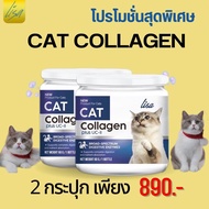 [แบ่งขาย]ส่งฟรี! จากไทย100%ผงโรยอาหารน้องแมว ช่วยสร้างเสริม เพิ่มภูมิคุ้มคุ้มกัน บำรุงขนตัวแน่น #Lisa #Collagen #Cat มีส่วนผสมผงไข่เต่า เพียงเทผงโรยอาหารแมวผสมกับอาหาร วันละ 1 มื้อ ลูกค้ากลับมารีวิลเพียบ ผลิตใหม่ทุกเดือน