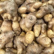 Umbi Gembili ketan dari Wonosobo makanan jadul