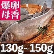 南海豐【爆卵大母香魚】黃金色魚卵飽滿，迷人哈密瓜香氣鮮美肉質細緻，鹽烤最讚中秋送禮烤肉食材(135g-150g/尾)