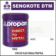 Cat Seng & Galvanis Anti Karat Propan Sengkote 1KG