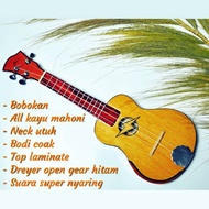 motif petir pare Ukulele kentrung utuh bobokan kayu