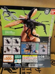 日本扭蛋 Bandai Kuwagata Dangomushi 昆蟲 秋形蟲 獨角仙 鍬形蟲 bugs Aset I 套4款