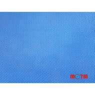 BLUE MATTING 49 inch x 34 inch