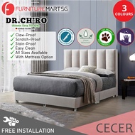 [FurnitureMartSG] Cecer Dr.Chiro Divan Bed Frame Pet Friendly Scratch-proof Fabric - With Mattress Add On