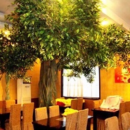 2021 Cheap Indoor Outdoor Ornamental Tall Big Large Simulation Evergreen Ficus Faux Plant Plastic