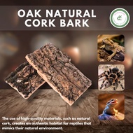 OAK NATURAL CORK BARK REPTILE TERRARIUMS HABITAT DESIGN LANDSCAPE HIDEOUTS CORK BARK REPTILE HIDE
