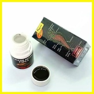 ❤ ㍿ ◸ PAPUA LINTAH OIL SILVER SEAL / GOLD SEAL