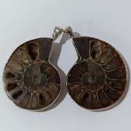 Ammonite pendant couple 1 Set Gets 2 Pieces From The Same One Shell Million-Year Carry It With You.
