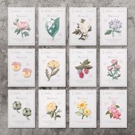 Embroidery Patch Flower Series Embroidery Patch Flower Series Patch Embroidery Flower Series Patch E