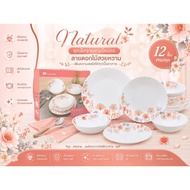 NL-6/set Plate set 6-Piece Opal Bowl Natalia Pattern And