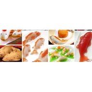 Japanese koi fish Mold (ice , jelly, 年糕, Nian gao, chocolate, pineapple tart)