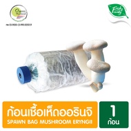 ก้อนเชื้อเห็ดออรินจิ 1 ก้อน Spawn Bag Mushroom Eryngii