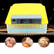 Inkubator Telur 220V 56, Mesin Penetas Telur Burung Puyuh, Inkubator