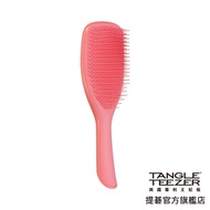 [TANGLE TEEZER TEEZER] British Hand Comb Tangle Teezer Comb (Large _ Salmon Powder) Hair Care Smooth