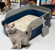Ember pasir kucing Toilet Kucing