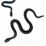 Tricky Soft Rubber Fake Snake Simulation Style, Holiday Party Small Snake Model, Halloween, Cobra Ro