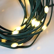 QBIS Outdoor Christmas Lights - Fairy Lights Battery Operated with Small Warm White LEDs, Green Wire