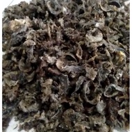 Parfum Walet bentuk Sarang Walet Gua Asli / parfum walet / sarang walet imitasi / sirip walet / arom