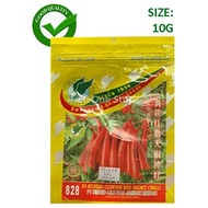 SEEDS/BENIH 10G 828 F1 HYBRID CLUSTER RED SHORT CHILLI 828 F1 HIBRID CILI PADI JAMBAK MERAH