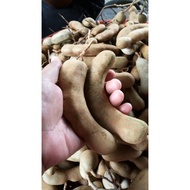 Buah Celagi Asam Jawa Putik