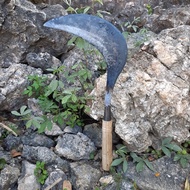 Arit Isen Baja Per Mobil Asli - Sabit Padi Baja Jawa Rumput  Super Tajam